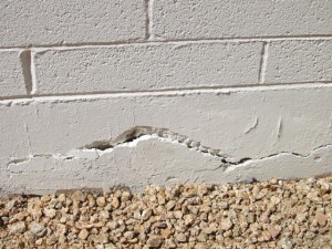 Stem horizontal crack Stem horizontal crack