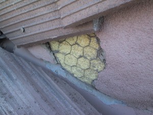 Structure - Stucco missing Structure - Stucco missing