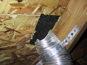 Vent not through roof Vent not through roof