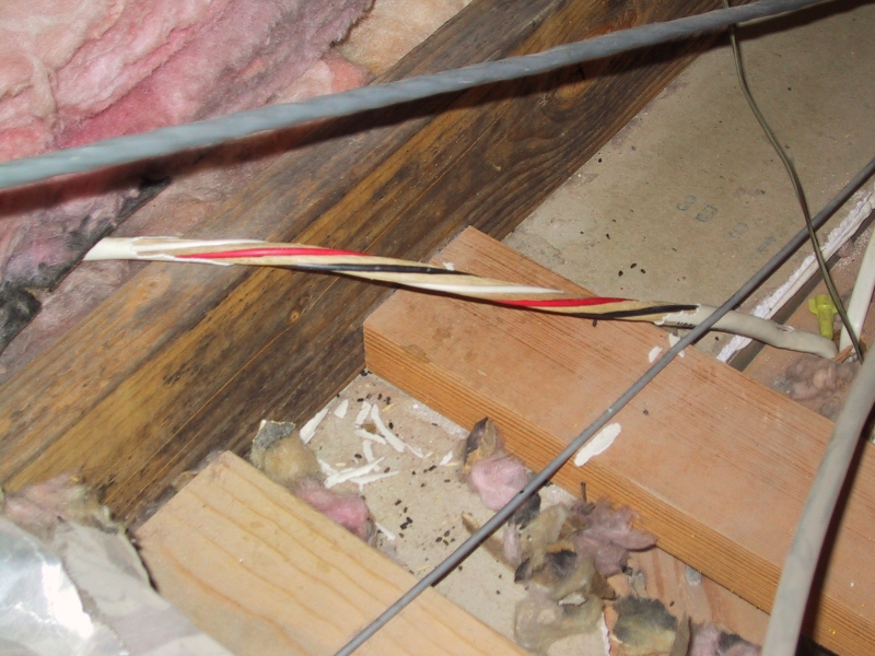 Electric Cable eaten by rodents