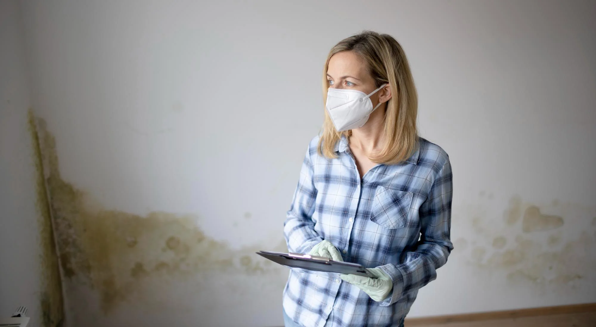 Post-Flood Mold Inspections Finding Hidden Water Damage